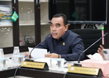 Demokrat Apresiasi Keputusan Presiden soal 4 Pulau: Marwah dan Kedaulatan Aceh Terjaga