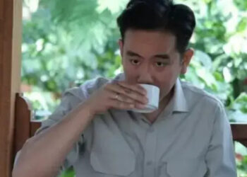 Gibran Tak Berpartai, Pemakzulan Wapres Seharusnya Mudah