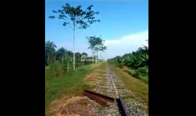 Ⓒ Hak cipta foto di atas dikembalikan sesungguhnya kepada pemilik foto Ⓒ Hak cipta foto di atas dikembalikan sesungguhnya kepada pemilik foto