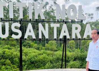 Jokowi Harus Diproses Hukum Jika IKN Turun Kelas