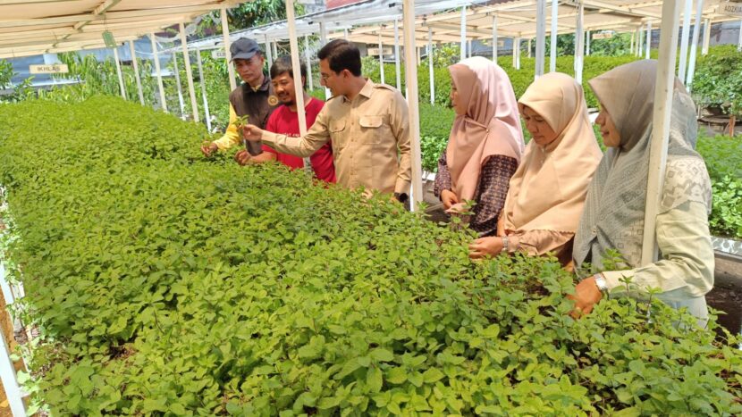 Ⓒ Hak cipta foto di atas dikembalikan sesungguhnya kepada pemilik foto