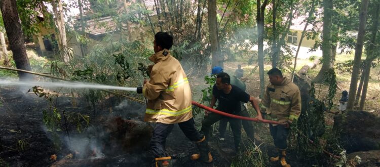 BPBD Aceh Besar Gerak Cepat Padamkan Kebakaran Lahan Pinus di Saree