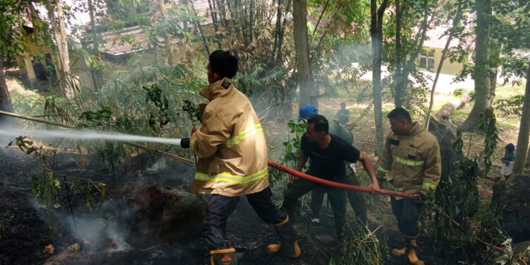 Ⓒ Hak cipta foto di atas dikembalikan sesungguhnya kepada sang pemilik foto Ⓒ Hak cipta foto di atas dikembalikan sesungguhnya kepada pemilik foto