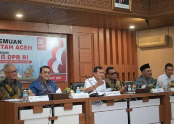 DPR Buka Peluang Dana Otsus Aceh Jadi Permanen, Wagub Fadhlullah: Ini Harapan Kami