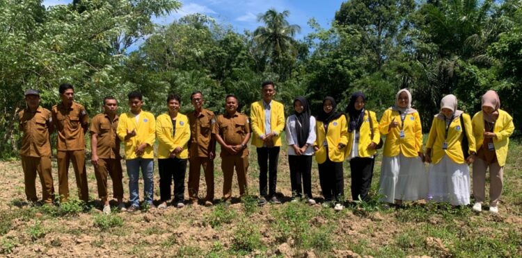 Perkuat Ketahanan Pangan, KKN UTU Tanam Sayuran di Ie Itam Baroh