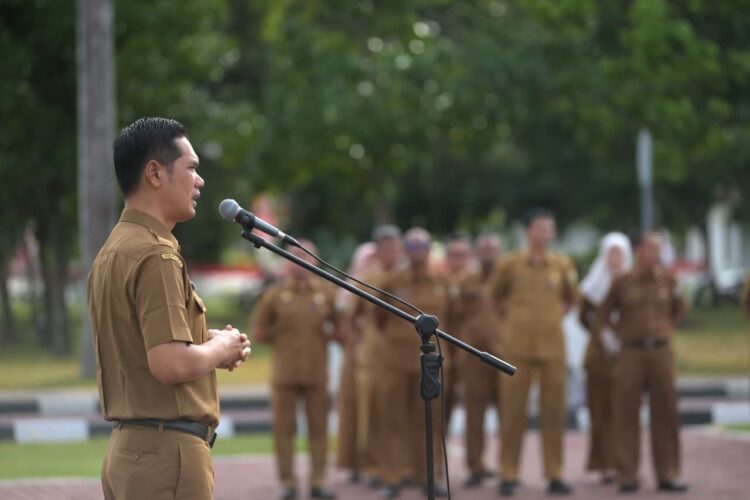 Ⓒ Hak cipta foto di atas dikembalikan sesungguhnya kepada pemilik foto