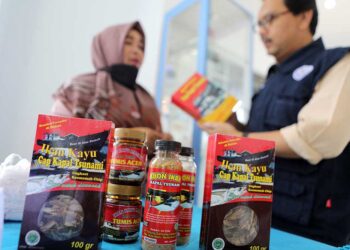 Hari UMKM Nasional 2025, Hamdani Ajak Pelaku Usaha Aceh Bangkit Lewat Inovasi dan Kolaborasi