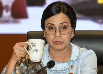 Menteri Keuangan, Sri Mulyani meminta daerah untuk memeras Rakyat via Pajak Bumi dan Bangunan. FOTO/ANTARA. Ⓒ Hak cipta foto di atas dikembalikan sesungguhnya kepada pemilik foto