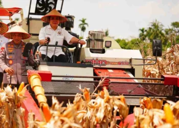 Polri Kawal Swasembada Pangan, Kapolri Listyo Sigit Pastikan Jagung Petani Diserap Bulog. FOTO/Dok. Polda Sumsel.