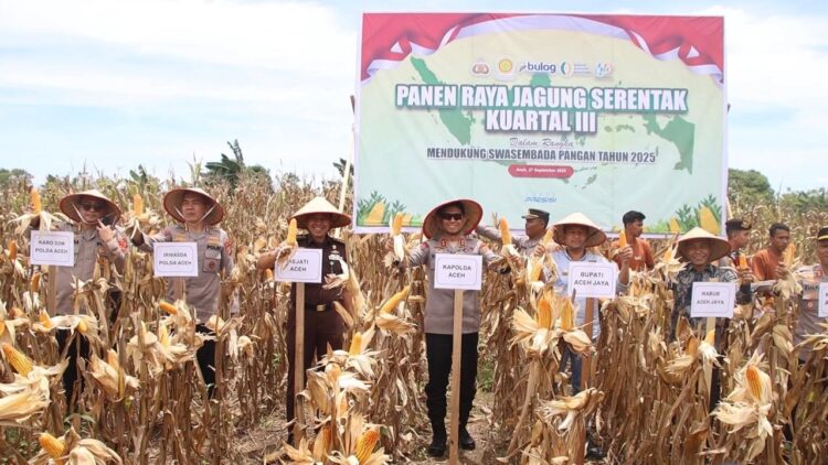 Kapolda Aceh Irjen Pol. Marzuki Ali Basyah melaksanakan panen raya jagung kuartal III secara serentak se-Indonesia melalui virtual bersama Kapolri Jenderal Listyo Sigit Prabowo. FOTO/Net.
