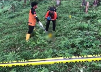 Penemuan puluhan potongan tubuh manusia berserakan di jurang jalur Mojokerto-Batu, tepatnya kawasan Cangar, Pacet, Kabupaten Mojokerto, Jawa Timur, Sabtu (6/9/2025). FOTO/Net. Ⓒ Hak cipta foto di atas dikembalikan sesungguhnya kepada pemilik foto