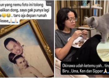 Seminggu Setelah Penjarahan, Uya Kuya Masih Sibuk Cari Kucing hingga Foto Pernikahan