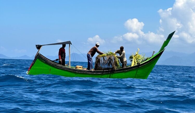 Ⓒ Hak cipta foto di atas dikembalikan sesungguhnya kepada pemilik foto