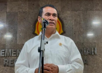 Pemerintah Siapkan 1,5 Juta Hektare Lahan Singkong untuk Campuran BBM