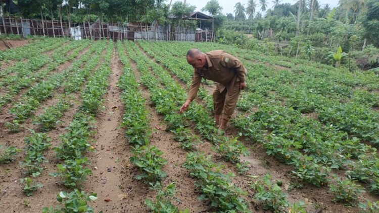Warga Darul Kamal Didorong Manfaatkan Lahan Kosong untuk Tanaman Produktif