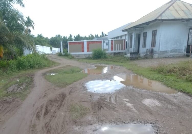 Jalan Menuju Puskesmas Arongan Lambalek, FOTO/ist
