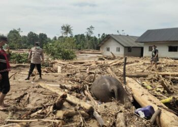 Bencana Aceh Berulang, Pemerintah Didesak Serius Tangani Kerusakan Lingkungan