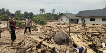 Ⓒ Hak cipta foto di atas dikembalikan sesungguhnya kepada pemilik foto