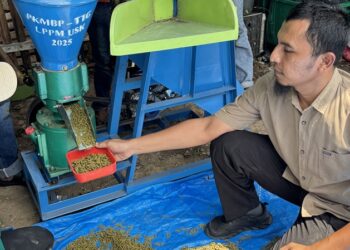 Green Concentrate Pellet, Terobosan USK Ciptakan Pakan Ternak Ekonomis dari Daun Kelor