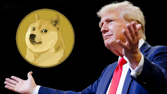 Jalan Terhenti Reformasi Efisiensi Pemerintahan Trump