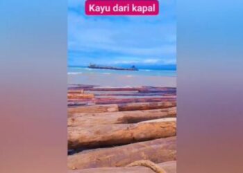 Ⓒ Hak cipta foto di atas dikembalikan sesungguhnya kepada pemilik foto