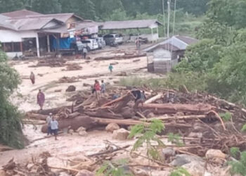 Ⓒ Hak cipta foto di atas dikembalikan sesungguhnya kepada pemilik foto