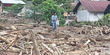 Ⓒ Hak cipta foto di atas dikembalikan sesungguhnya kepada pemilik foto