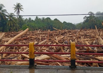 Ⓒ Hak cipta foto di atas dikembalikan sesungguhnya kepada sang pemilik foto Ⓒ Hak cipta foto di atas dikembalikan sesungguhnya kepada pemilik foto
