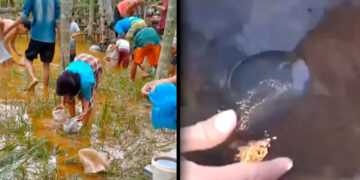 Ⓒ 上述照片的版权归属实际归属于照片所有者。