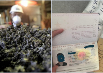 Ⓒ Hak cipta foto di atas dikembalikan sesungguhnya kepada pemilik foto