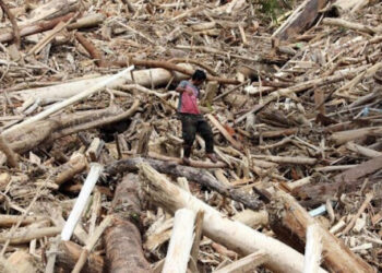 Ⓒ Hak cipta foto di atas dikembalikan sesungguhnya kepada sang pemilik foto Ⓒ Hak cipta foto di atas dikembalikan sesungguhnya kepada pemilik foto