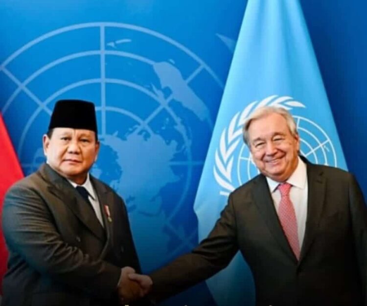 Presiden Dewan HAM PBB