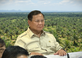 Pemerintah Prabowo Tobat Akan Kembalikan Lahan Sawit Jadi Hutan