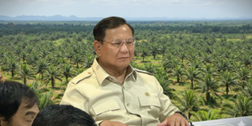 Pemerintah Prabowo Tobat Akan Kembalikan Lahan Sawit Jadi Hutan