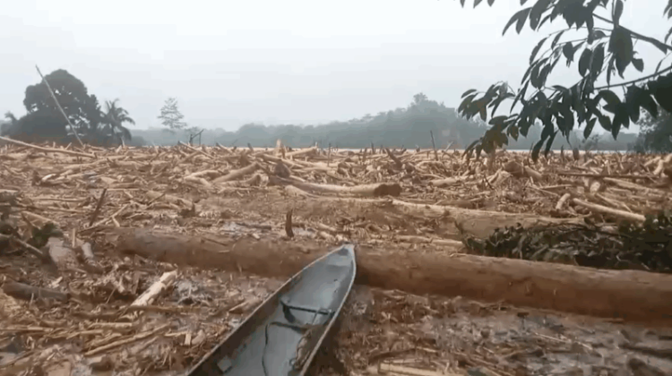Kapolri Bentuk Tim Gabungan Usut Kayu Gelondongan yang Terbawa Arus Banjir di Sumatera