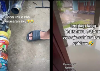 Ⓒ Hak cipta foto di atas dikembalikan sesungguhnya kepada pemilik foto