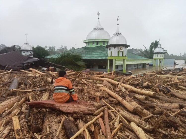 Ⓒ Hak cipta foto di atas dikembalikan sesungguhnya kepada pemilik foto Ⓒ Hak cipta foto di atas dikembalikan sesungguhnya kepada pemilik foto