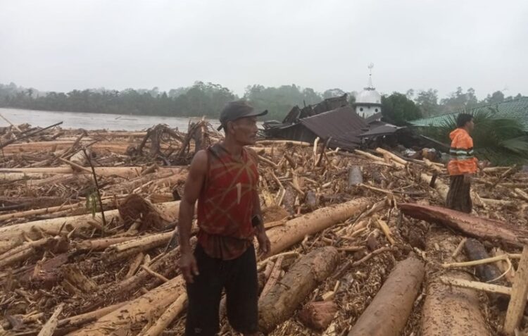 Sebabkan Bencana Sumatera, Perusahaan Perusak Hutan Dituntut Bayar Pemulihan Ekologi