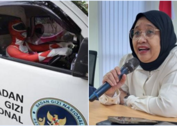 Ⓒ 上述照片的版权归属实际归属于照片所有者。