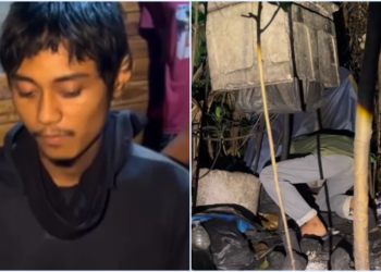 Tertekan Dipaksa Kuliah, Pemuda Ini Menghilang 3 Tahun dan Tinggal di Hutan, Ditangkap Warga saat Curi Makanan