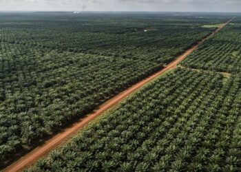 Ⓒ Hak cipta foto di atas dikembalikan sesungguhnya kepada pemilik foto