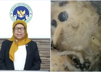 Ⓒ Hak cipta foto di atas dikembalikan sesungguhnya kepada pemilik foto