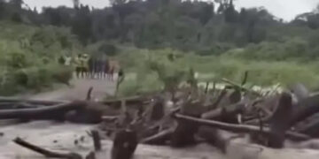 Ⓒ Hak cipta foto di atas dikembalikan sesungguhnya kepada pemilik foto