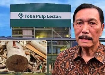 Aktivis Desak Satgas Penertiban Hutan Periksa Luhut Kasus Dugaan Keterlibatan di PT TPL Penyebab Banjir Sumut
