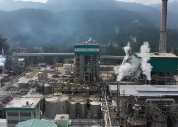 Toba Pulp, Perusahaan yang Dikaitkan dengan Luhut Dicabut Prabowo