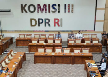 Pakar HTN di RDPU Komisi III DPR: Suhartoyo Ketua MK Ilegal!