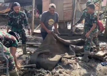 Prajurit TNI Yonif TP 856/Samudra Biru Sakti (SBS) bersama warga setempat dan Babinsa Koramil 05/Linge, Kodim 0106/Aceh Tengah, Kodam Iskandar Muda, melaksanakan kegiatan gotong royong membersihkan rumah warga yang terdampak banjir di Desa Pantan Nangka, Kecamatan Linge, Kabupaten Aceh Tengah. Jum’at (3/1/2026). FOTO/Dok. Kodam Iskandar Muda. Ⓒ Hak cipta foto di atas dikembalikan sesungguhnya kepada pemilik foto