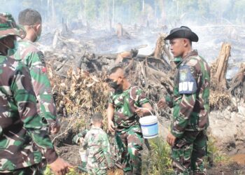 Tim gabungan TNI, Polri, Badan Penanggulangan Bencana Daerah (BPBD), dan Balai Konservasi Sumber Daya Alam (BKSDA) terus melakukan upaya pemadaman kebakaran hutan dan lahan (karhutla) yang menghanguskan puluhan hektare lahan milik warga di Kecamatan Bakongan dan Trumon Timur, Kabupaten Aceh Selatan, Selasa, 27 Januari 2026. FOTO/Net. Ⓒ Hak cipta foto di atas dikembalikan sesungguhnya kepada pemilik foto