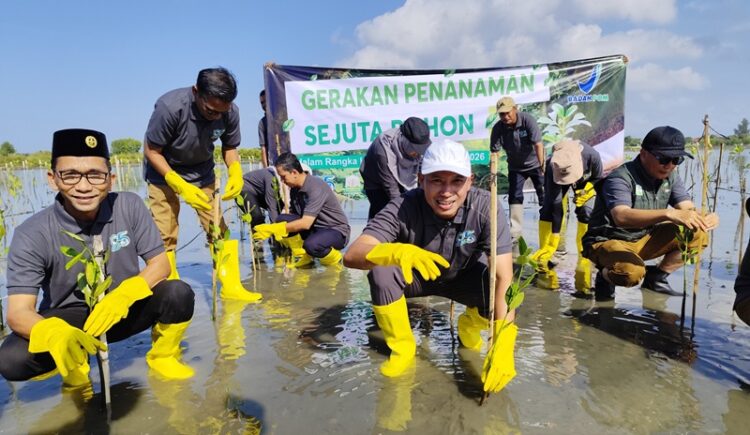BBPOM Aceh Tanam 3.000 Mangrove di Pesisir Aceh Besar