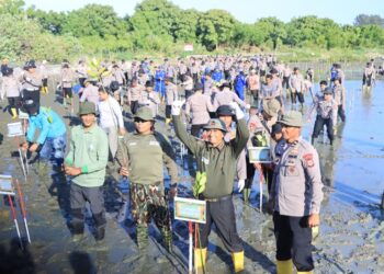 Wujudkan Green Policing, Polda Aceh Tanam 10.000 Mangrove di Pesisir Banda Aceh
